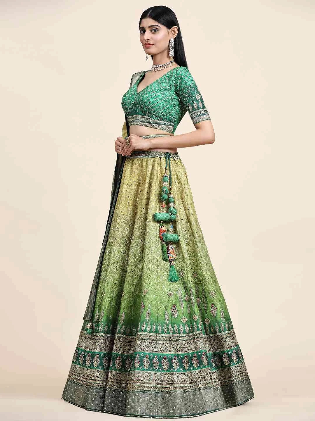 Celestial Charm lehenga