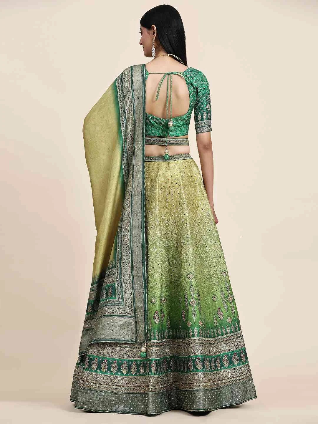 Celestial Charm lehenga